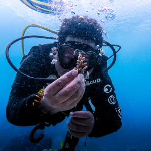 Adopt an Coral - Image 2
